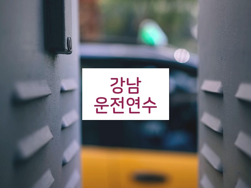 강남운전연수 후기