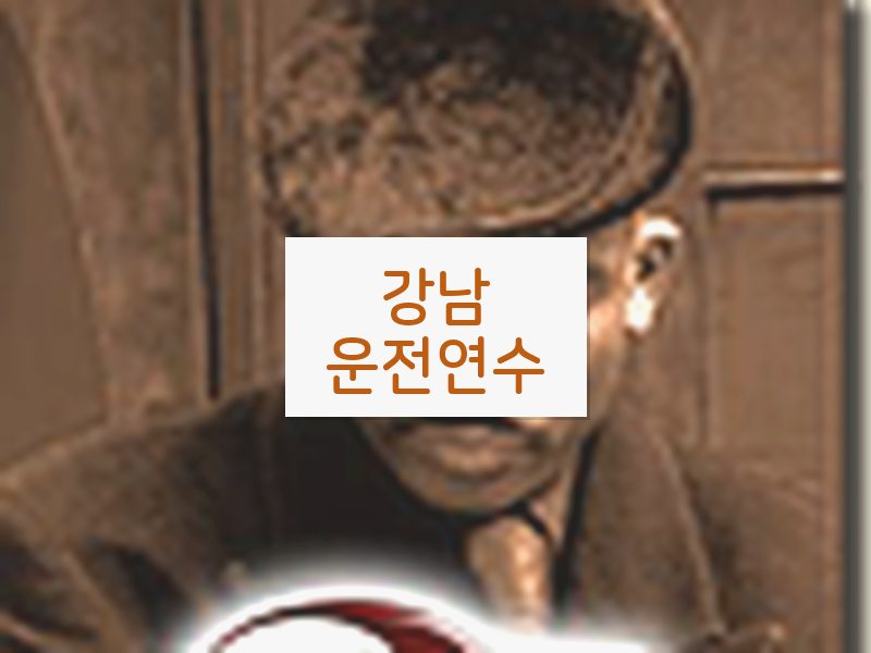 강남운전연수 후기