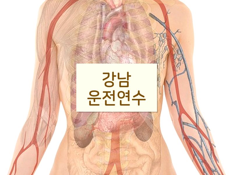 강남운전연수 후기