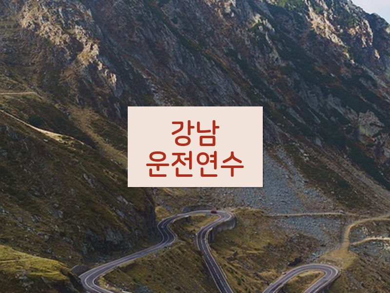 강남운전연수 후기