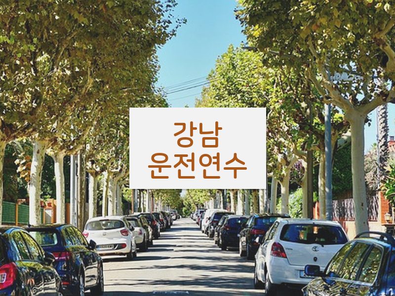 강남운전연수 후기