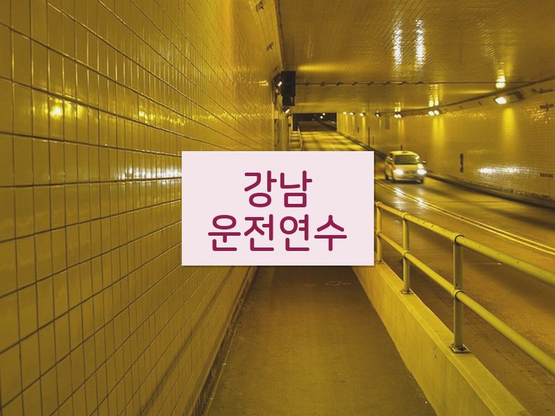 강남운전연수 후기