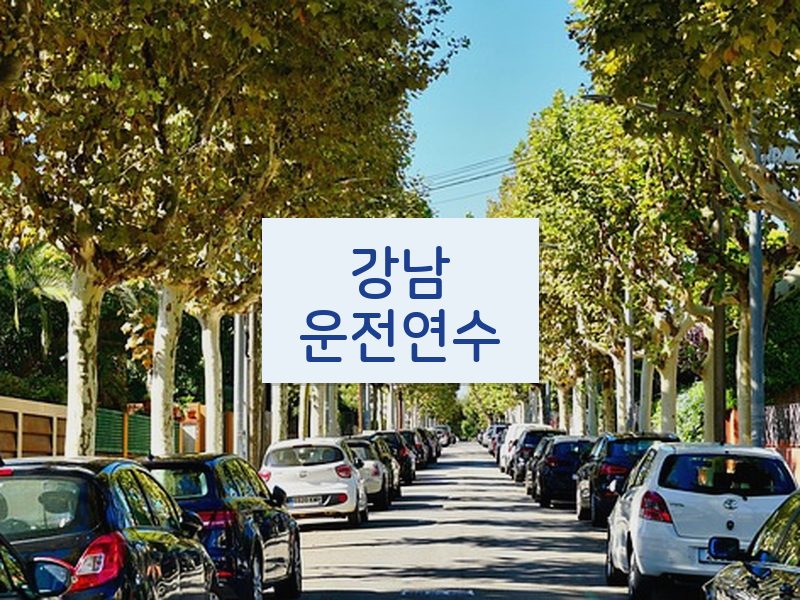 강남운전연수 후기