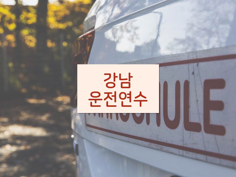 강남운전연수 후기