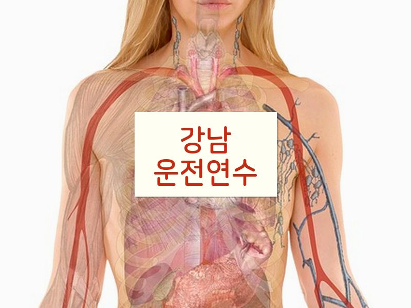 강남운전연수 후기