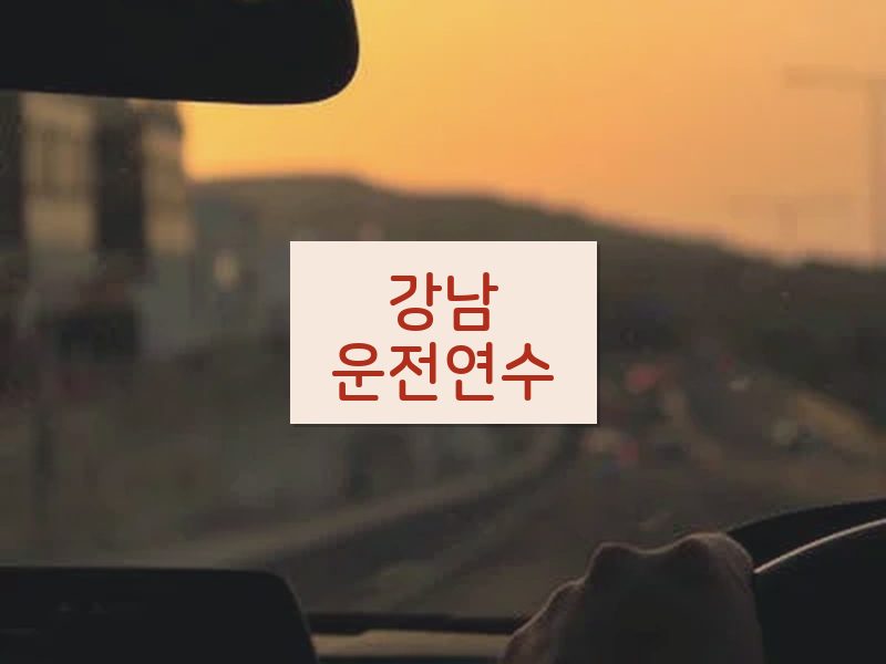 강남운전연수 후기