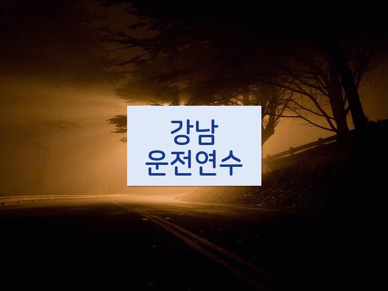 강남운전연수 후기