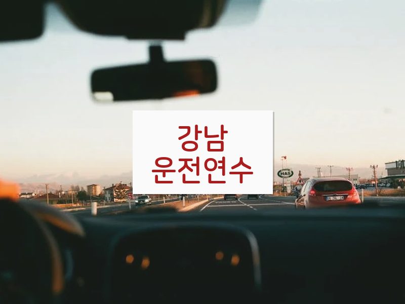 강남운전연수 후기
