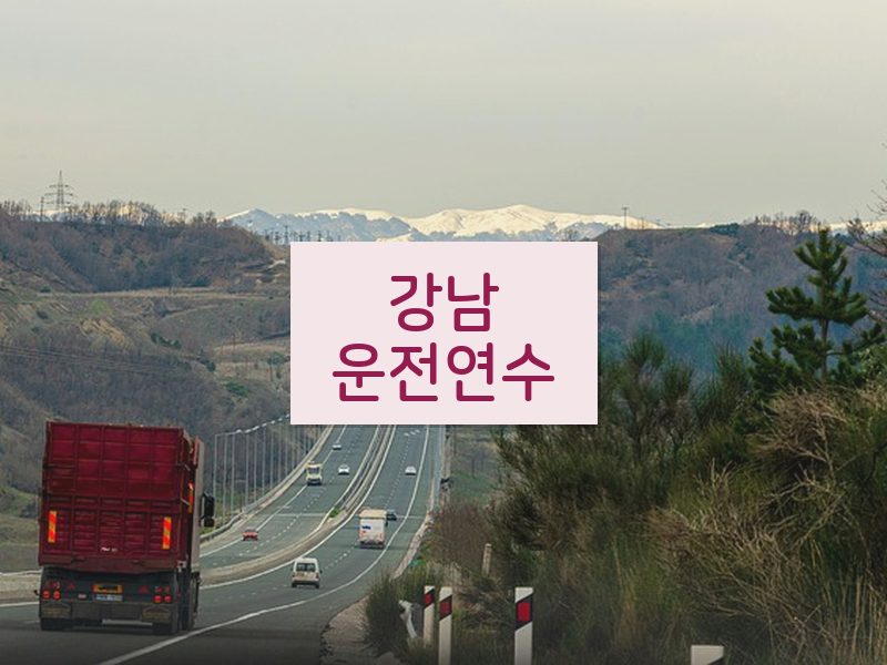 강남운전연수 후기