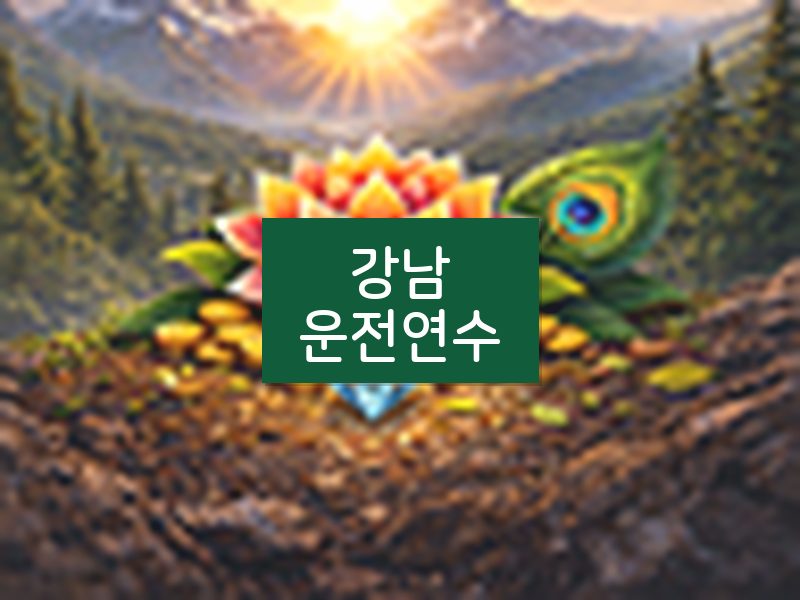 강남운전연수 후기