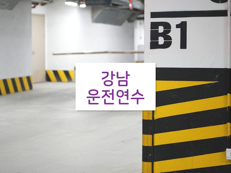 강남운전연수 후기