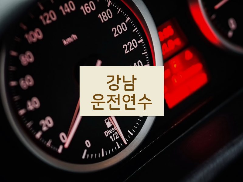 강남운전연수 후기