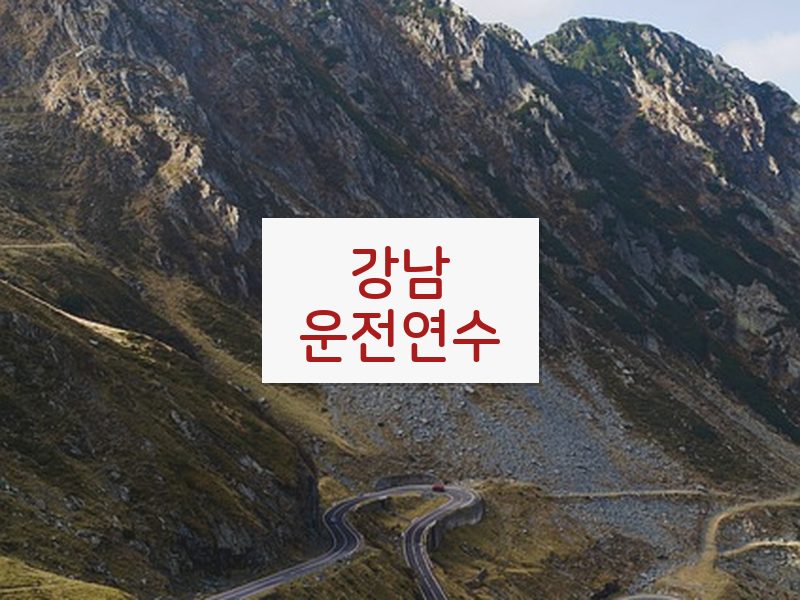 강남운전연수 후기