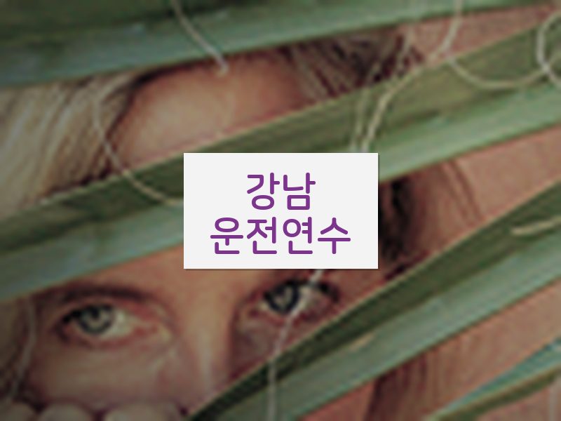 강남운전연수 후기