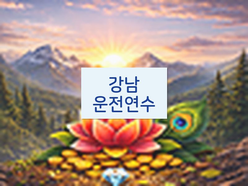 강남운전연수 후기