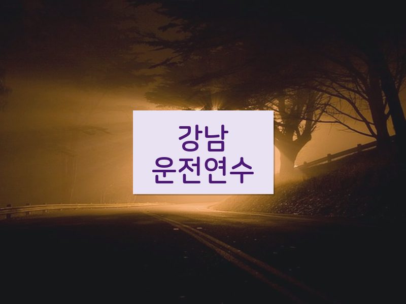 강남운전연수 후기