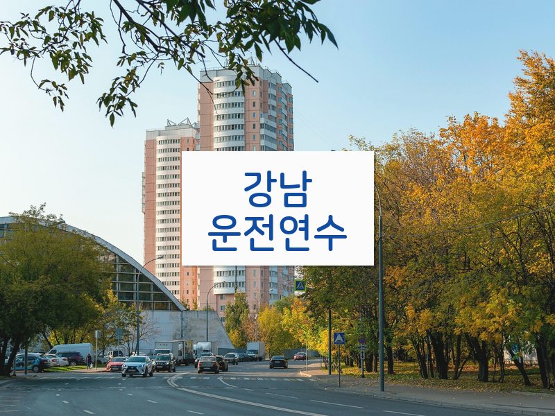 강남운전연수 후기