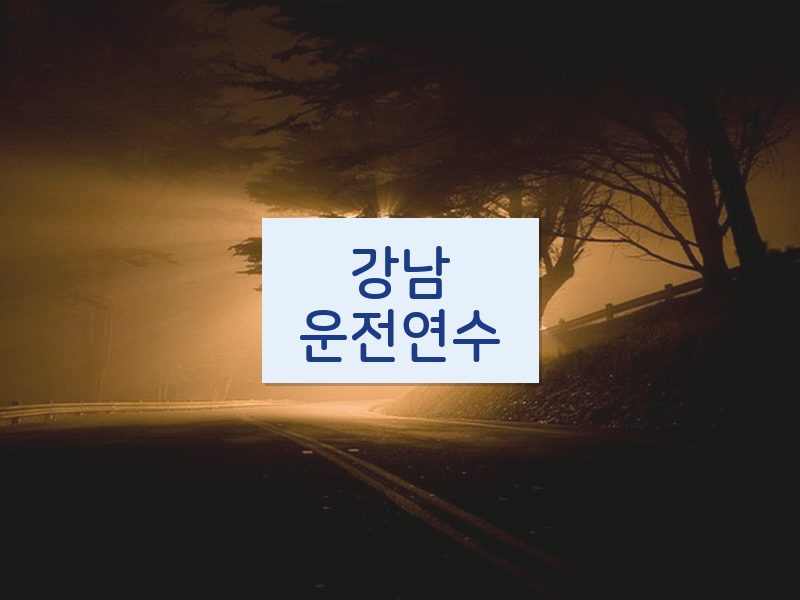 강남운전연수 후기