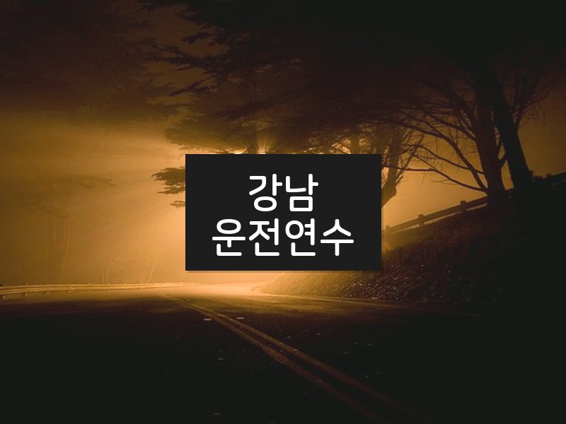 강남운전연수 후기