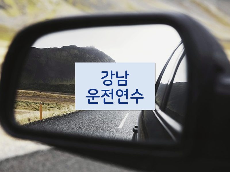 강남운전연수 후기
