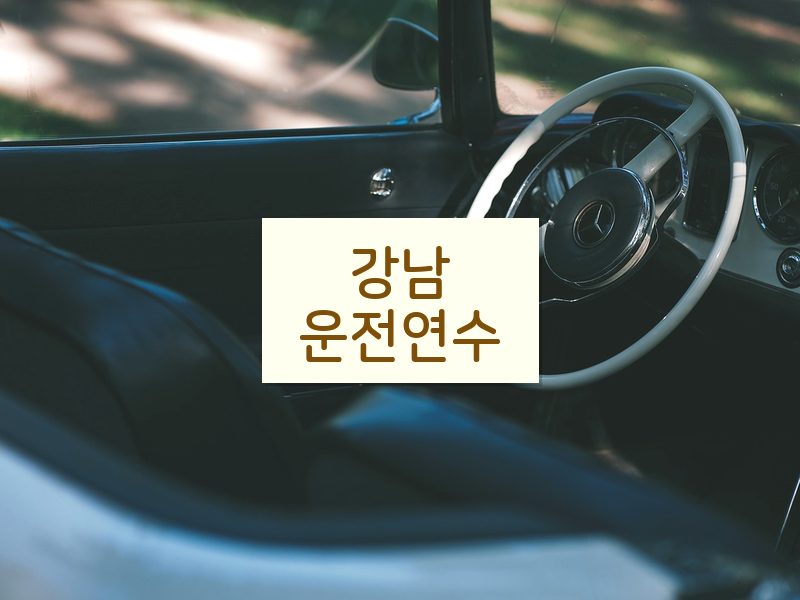 강남운전연수 후기