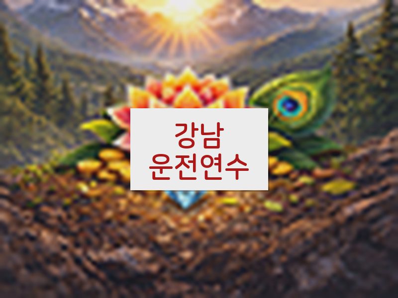 강남운전연수 후기