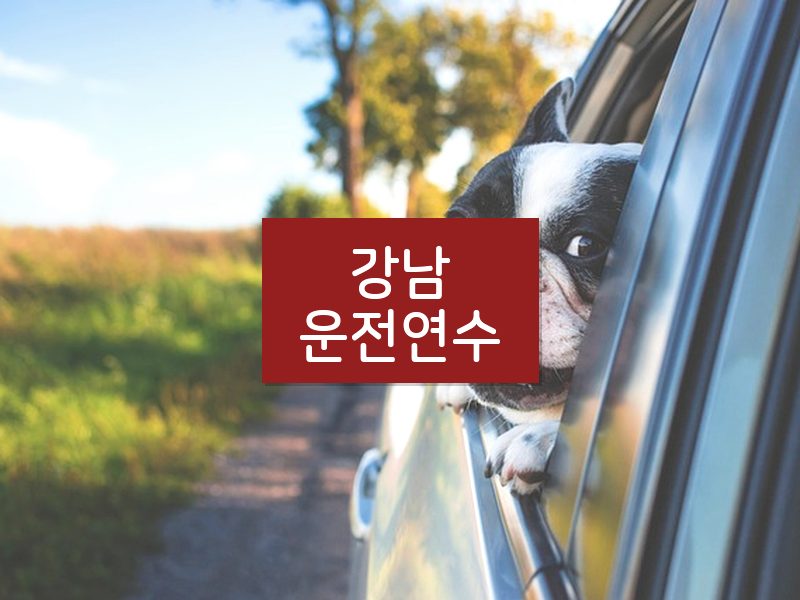 강남운전연수 후기