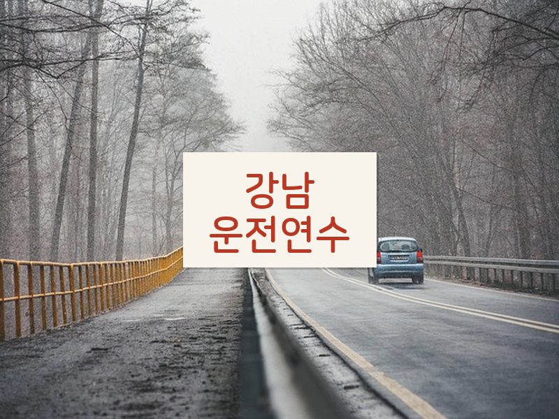 강남운전연수 후기