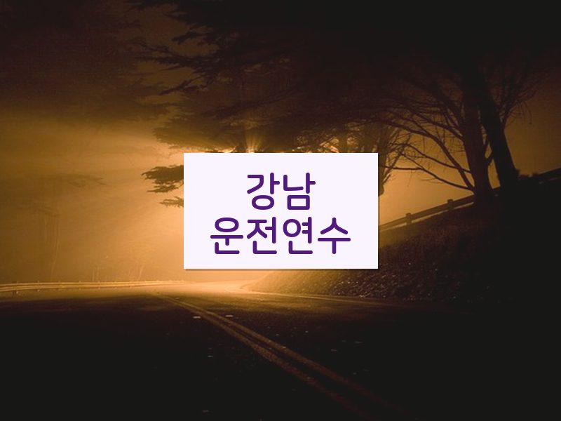 강남운전연수 후기
