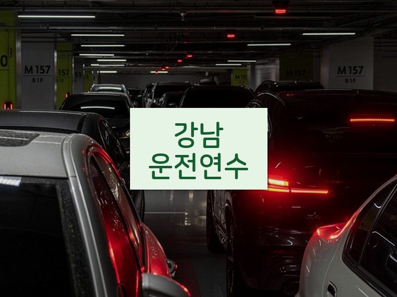 강남운전연수 후기