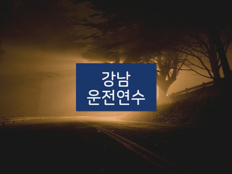 강남운전연수 후기