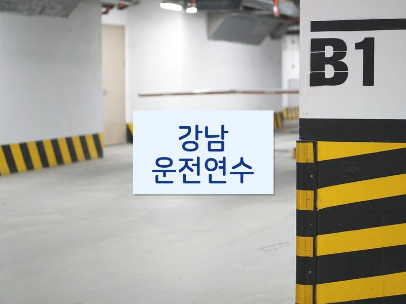 강남운전연수 후기