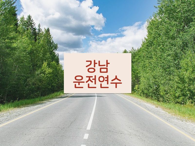 강남운전연수 후기