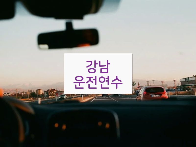 강남운전연수 후기
