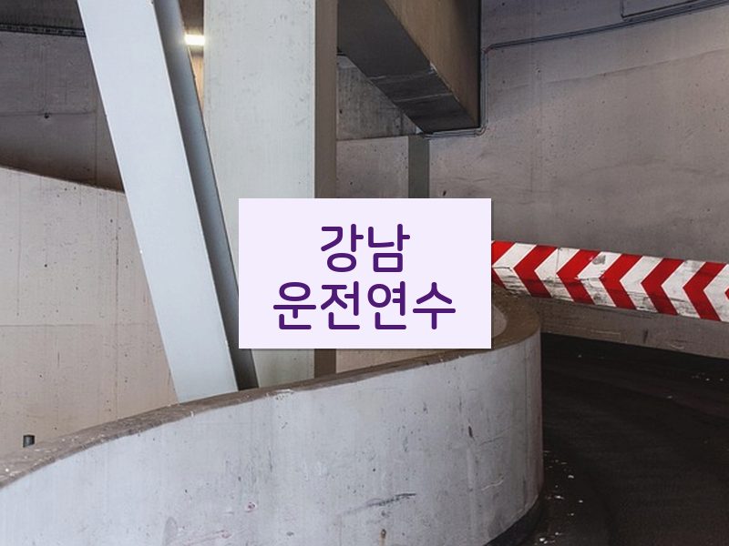 강남운전연수 후기