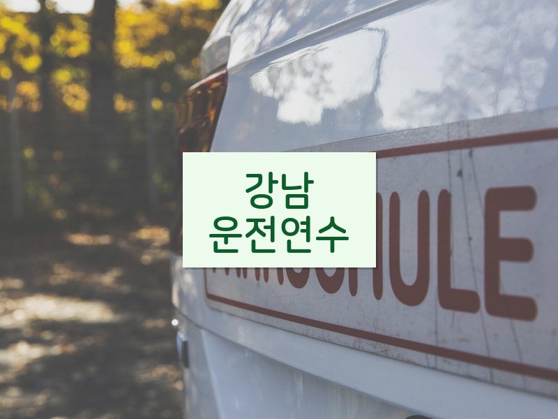 강남운전연수 후기