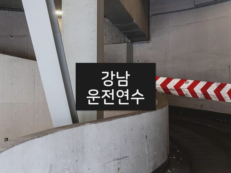강남운전연수 후기