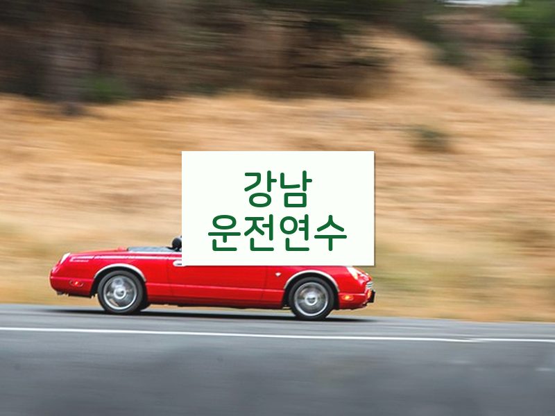 강남운전연수 후기
