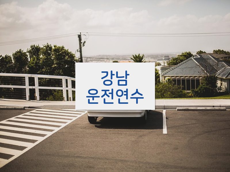강남운전연수 후기