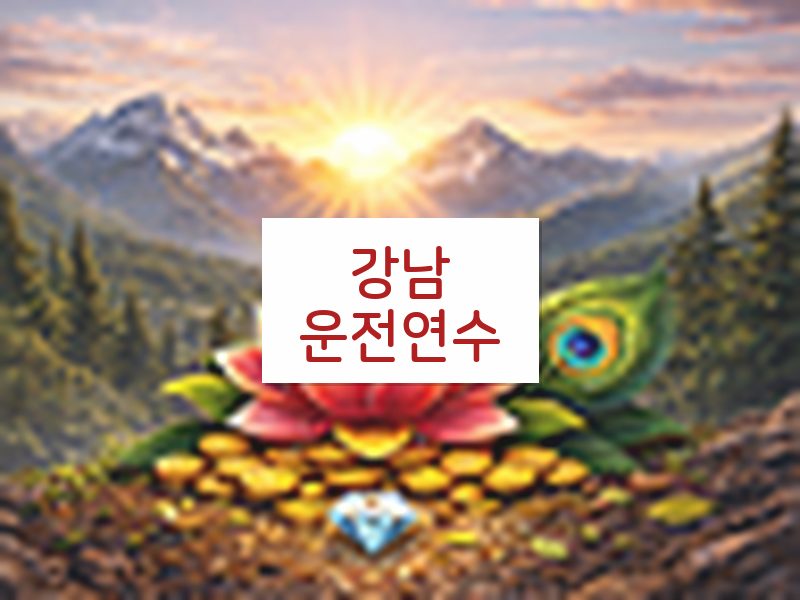 강남운전연수 후기