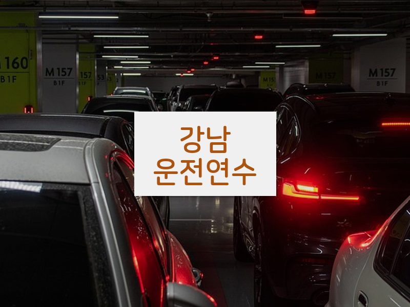 강남운전연수 후기