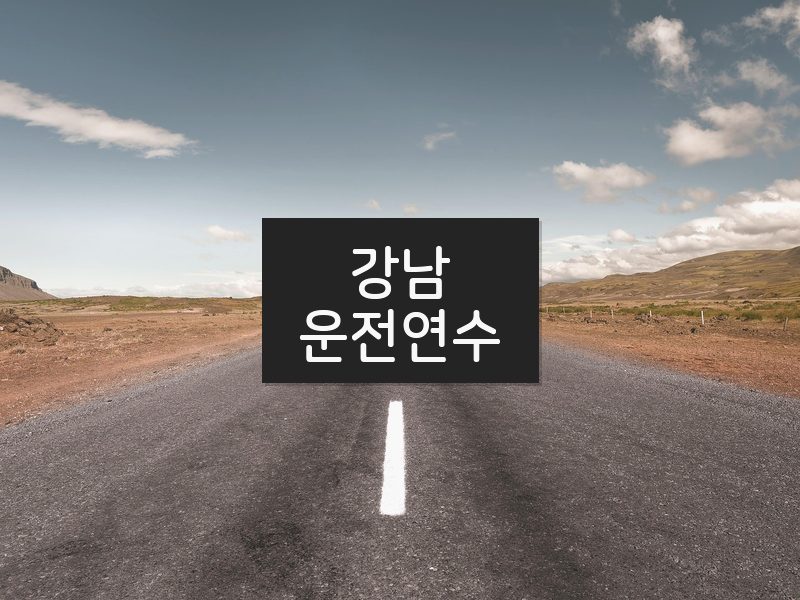 강남운전연수 후기