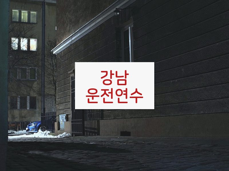 강남운전연수 후기