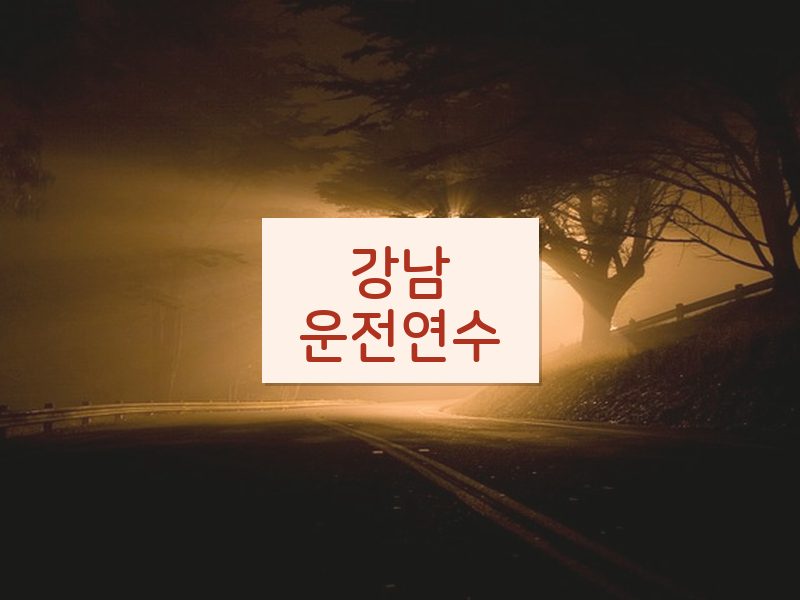 강남운전연수 후기