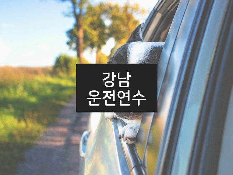 강남운전연수 후기