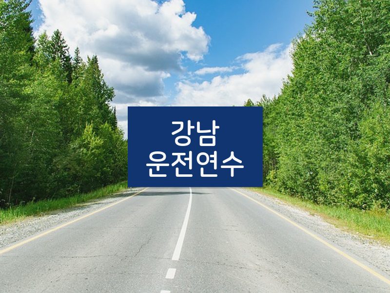 강남운전연수 후기