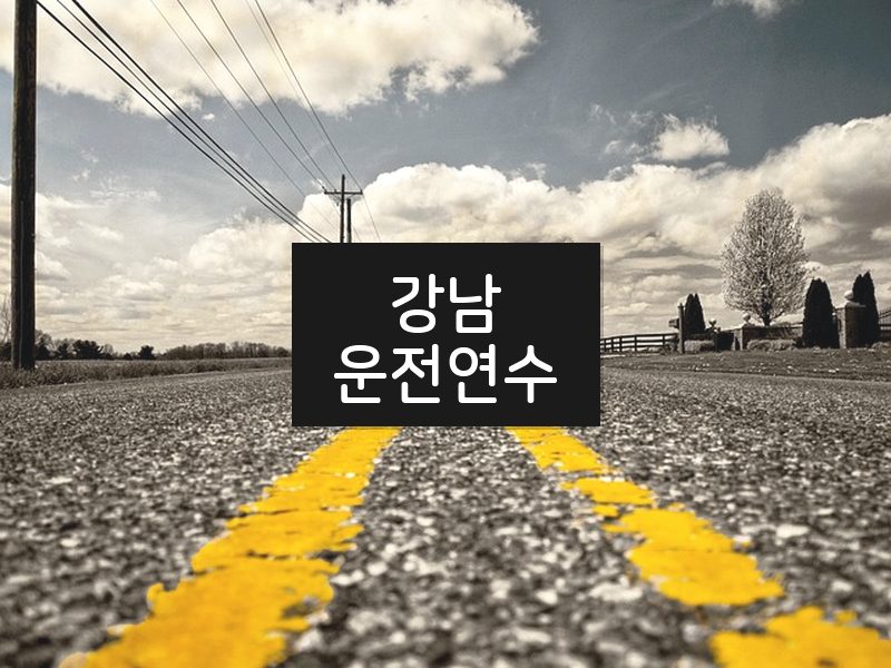 강남운전연수 후기