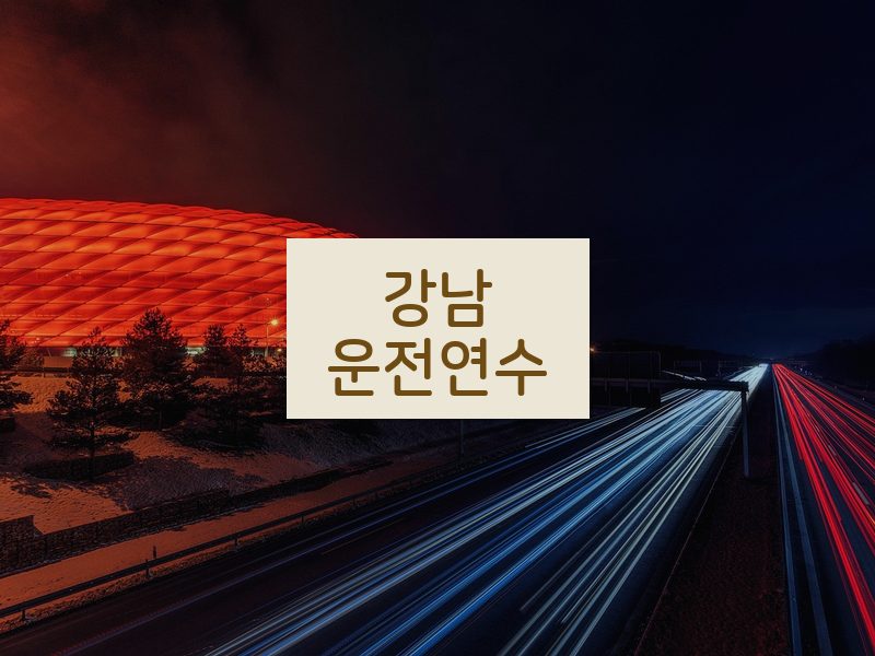 강남운전연수 후기