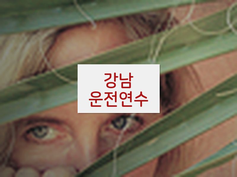 강남운전연수 후기