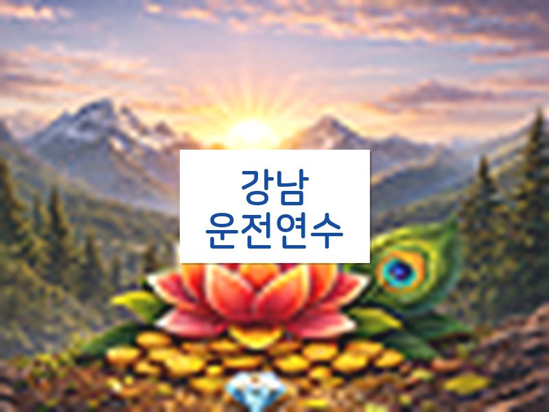 강남운전연수 후기